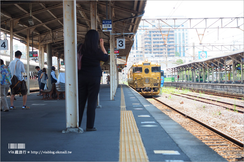 九州觀光列車》甜點列車～搭到了！傳說中的金色列車！搭載夢幻甜點美食～帶著滿滿華麗的幸福啟程囉！