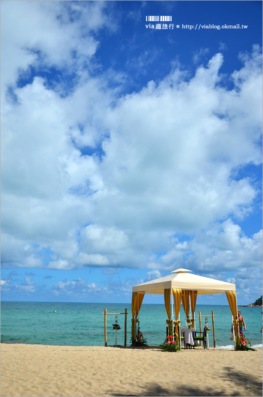 蘇美島飯店》蜜月推薦！酒店專屬的夢幻海灘婚禮體驗～New Star Beach Resort