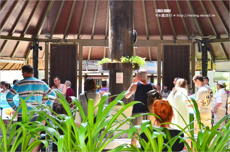 泰國蘇美島機場》蘇美島景點～SAMUI AIRPORT機場美到像一個景點！雜誌評選為世界十大機場！