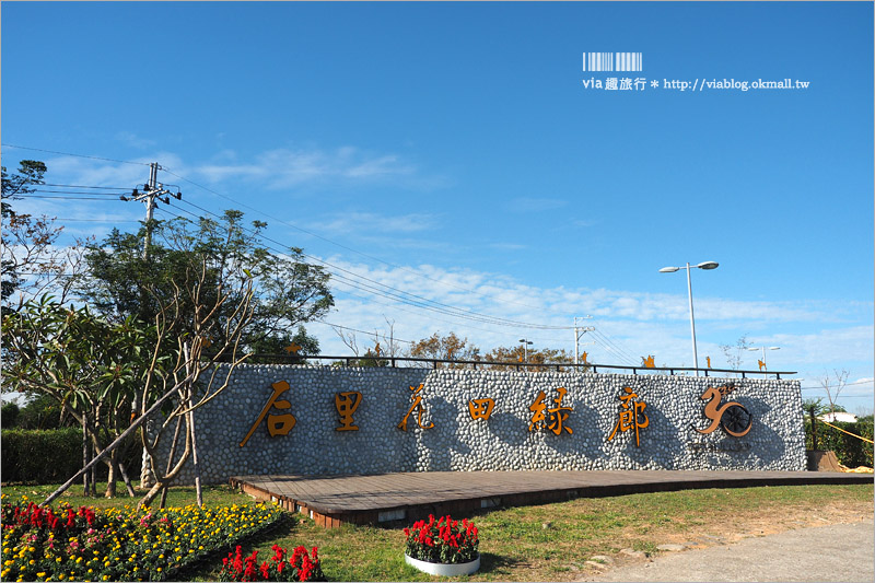 台中花毯節》台中后里國際花毯節『花現新樂園』～首度移師后里！年末最大賞花盛事！