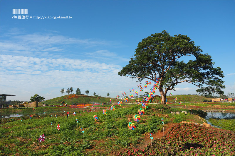 台中花毯節》台中后里國際花毯節『花現新樂園』～首度移師后里！年末最大賞花盛事！