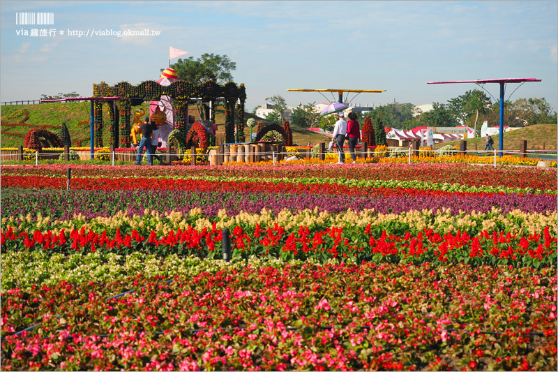 台中花毯節》台中后里國際花毯節『花現新樂園』～首度移師后里！年末最大賞花盛事！