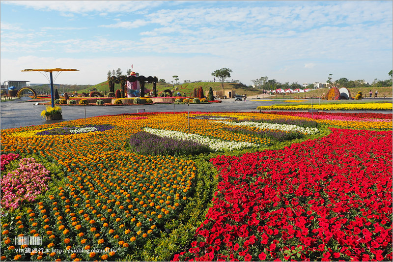 台中花毯節》台中后里國際花毯節『花現新樂園』～首度移師后里！年末最大賞花盛事！