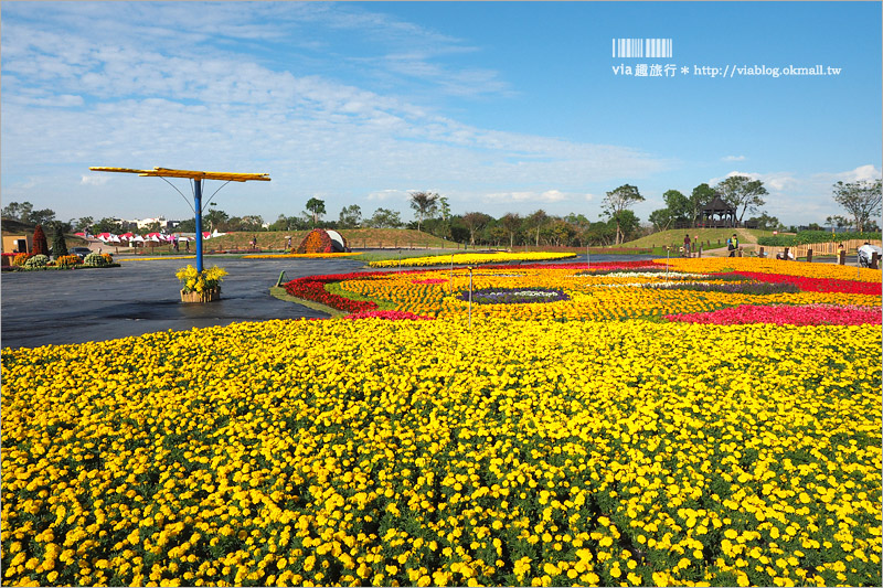 台中花毯節》台中后里國際花毯節『花現新樂園』～首度移師后里！年末最大賞花盛事！