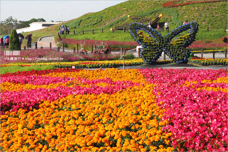 台中花毯節》台中后里國際花毯節『花現新樂園』～首度移師后里！年末最大賞花盛事！