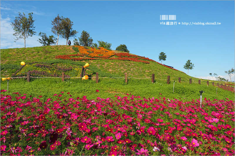 台中花毯節》台中后里國際花毯節『花現新樂園』～首度移師后里！年末最大賞花盛事！