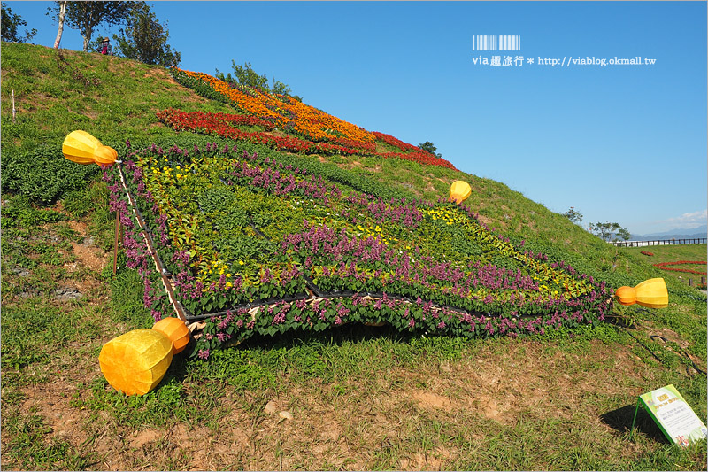 台中花毯節》台中后里國際花毯節『花現新樂園』～首度移師后里！年末最大賞花盛事！