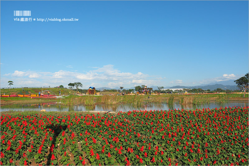 台中花毯節》台中后里國際花毯節『花現新樂園』～首度移師后里！年末最大賞花盛事！