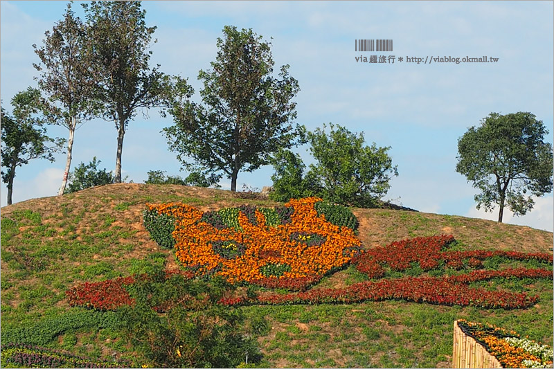 台中花毯節》台中后里國際花毯節『花現新樂園』～首度移師后里！年末最大賞花盛事！