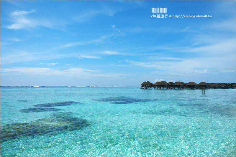 馬爾地夫餐廳》Club Med KANI～卡尼島餐廳篇‧餐點盡情吃到飽、海景就在眼前超浪漫！