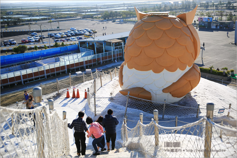 台南七股鹽山》新亮點來了～鹽山上的超萌貓頭鷹！今年走春的最佳旅行地～GO！