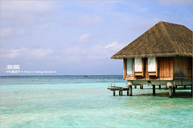 馬爾地夫自助行》Club Med夢幻水上屋～蜜月旅行首選‧情人的渡假天堂！水上屋房型大公開！