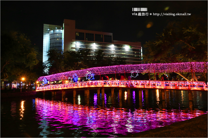 台中燈會》中臺灣元宵燈會～台中公園雞年主燈「鳳凰花開」～超炫！聞得見花香的主燈秀！