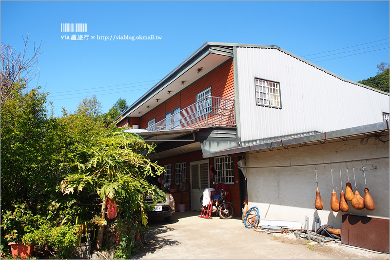 苗栗草莓推薦》大湖馬拉邦山「秀麗農莊」～鮮嫩可口的草莓這裡採！私房秘境後山觀景台美不勝收！