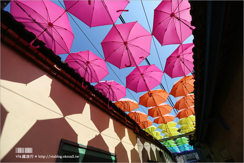 彰化景點》卡里善之樹‧Rainbow House─為愛撐傘｜小新清旅點報到！彩虹般的傘樹＋傘巷好夢幻！