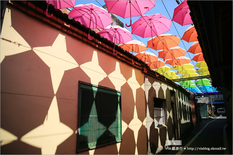 彰化景點》卡里善之樹‧Rainbow House─為愛撐傘｜小新清旅點報到！彩虹般的傘樹＋傘巷好夢幻！