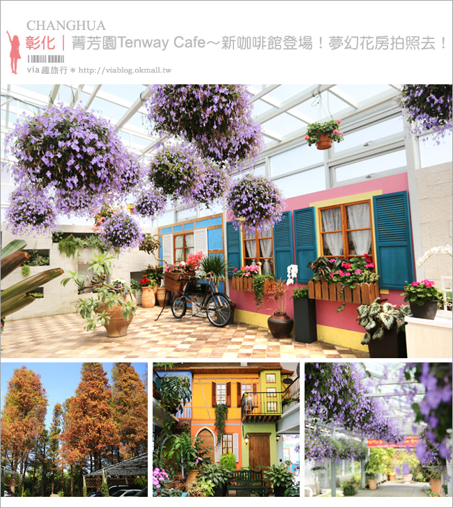 【彰化菁芳園落羽松】Tenway Cafe～園區新咖啡館登場！帶著紫色夢幻感的玻璃花房好浪漫！