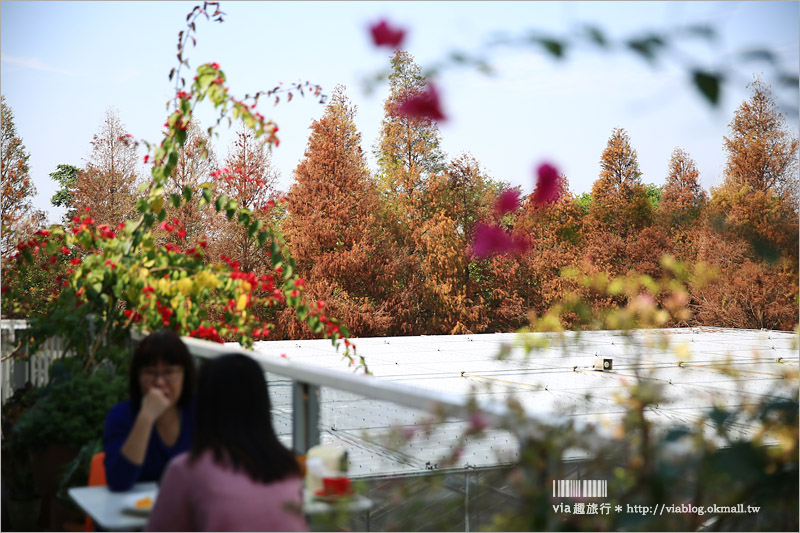 【彰化菁芳園落羽松】Tenway Cafe～園區新咖啡館登場！帶著紫色夢幻感的玻璃花房好浪漫！