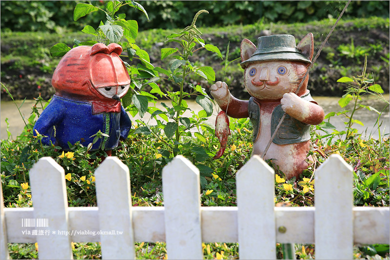 彰化旅遊》田中蜀葵節～出遊賞花趣！二萬株蜀葵花加繽紛貓咪彩繪好吸睛！