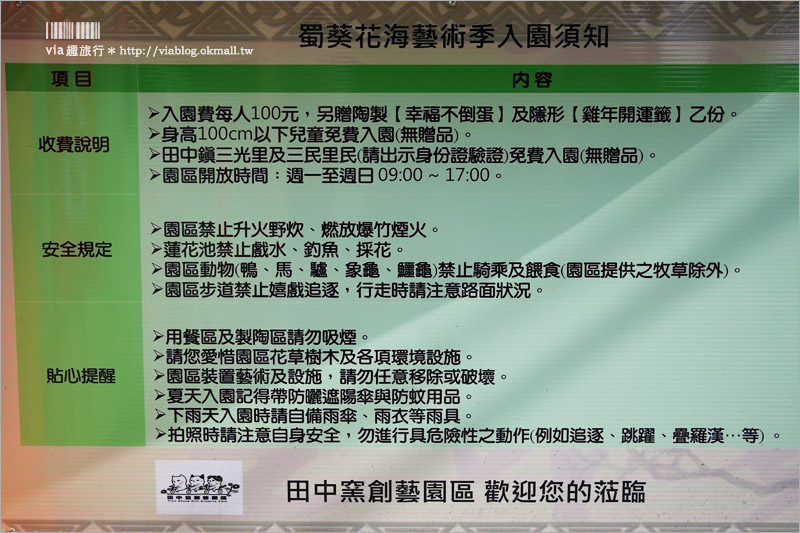 彰化旅遊》田中蜀葵節～出遊賞花趣！二萬株蜀葵花加繽紛貓咪彩繪好吸睛！