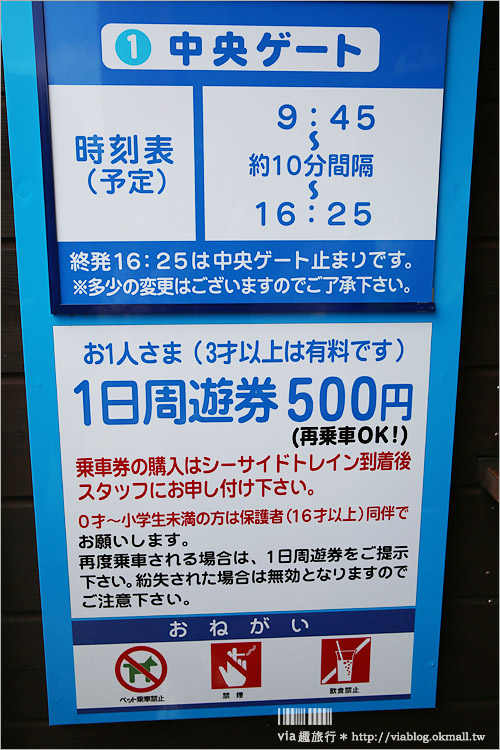 日本粉蝶花》國營常陸海濱公園～朝聖！無敵夢幻的粉蝶花丘大盛開！一生必賞的浪漫絕景！