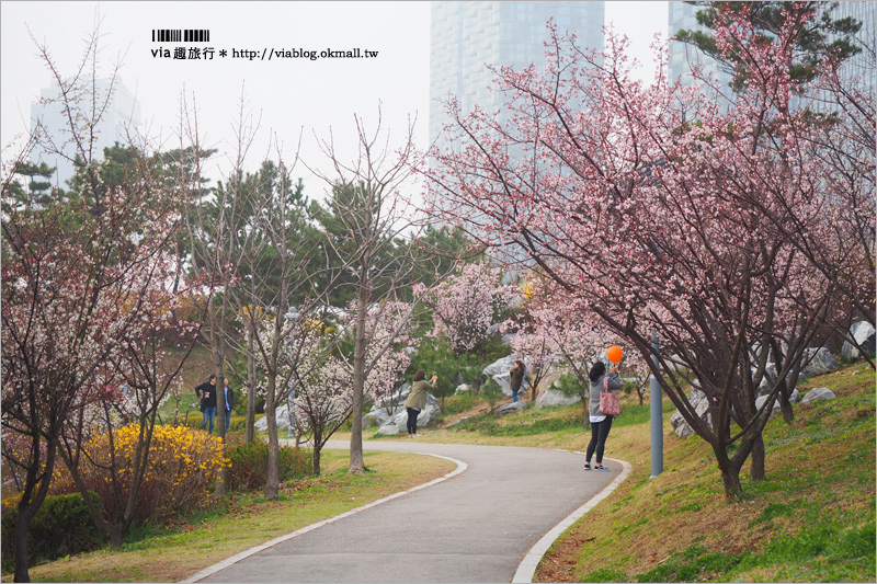 韓國仁川景點》「松島中央公園」追鬼怪景點～dal.komm COFFEE、慶源齎、松島韓屋村一次玩透透！