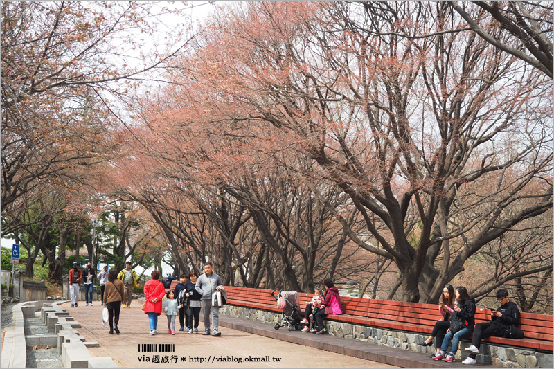 仁川景點》跟著鬼怪去旅行～開港場、仁川自由公園拍照去！搭乘仁川觀光巴士一日遊好方便！