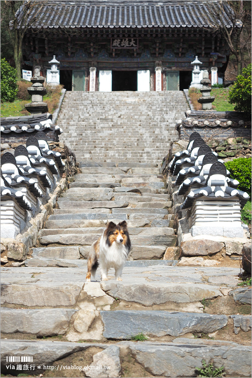 韓國景點》韓國京畿道景點～鬼怪旅點看這裡：優美古寺「石南寺」＋典雅教堂「美里川聖堂」旅行去！