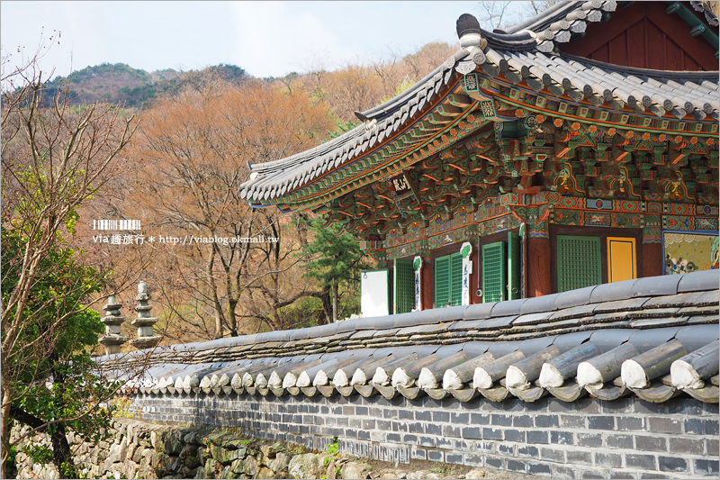 韓國景點》韓國京畿道景點～鬼怪旅點看這裡：優美古寺「石南寺」＋典雅教堂「美里川聖堂」旅行去！