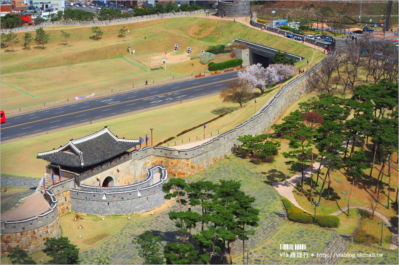 韓國賞櫻景點》水原華城行宮～世界文化遺產景點！古城秀麗迷人、櫻花綻放時節美不勝收