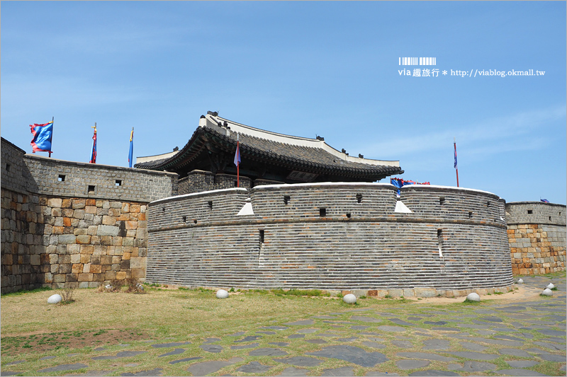 韓國賞櫻景點》水原華城行宮～世界文化遺產景點！古城秀麗迷人、櫻花綻放時節美不勝收