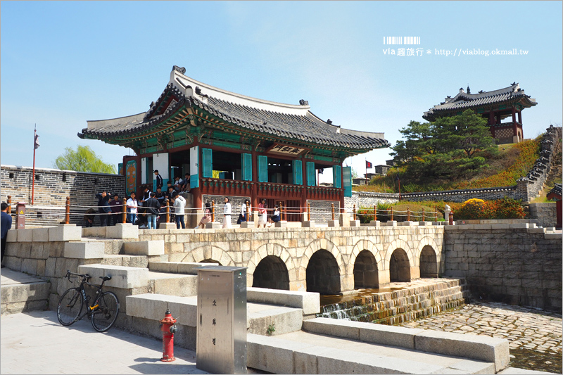 韓國賞櫻景點》水原華城行宮～世界文化遺產景點！古城秀麗迷人、櫻花綻放時節美不勝收