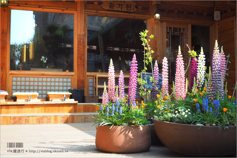 首爾旅遊》松佳軒솔가헌韓屋韓方咖啡館～新玩法！在傳統韓屋中放鬆享受足浴＋養生茶的放鬆小旅行！