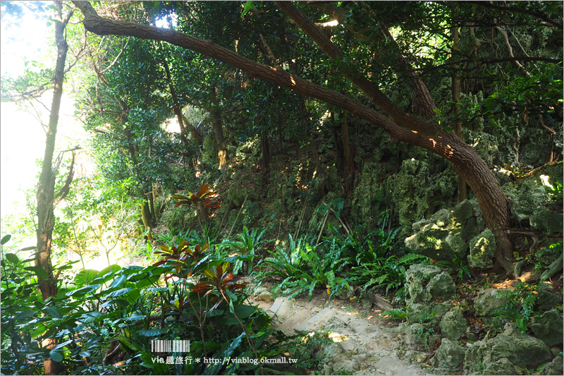 沖繩景點》備瀨一線天(備瀬のワルミ)～小秘境旅行！夢幻的山海一線景色～來去探索療癒系旅點！