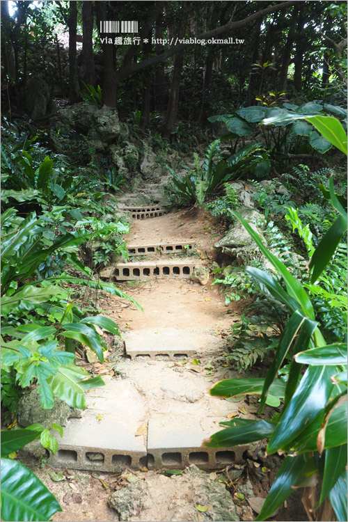 沖繩景點》備瀨一線天(備瀬のワルミ)～小秘境旅行！夢幻的山海一線景色～來去探索療癒系旅點！