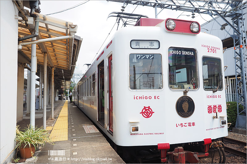 和歌山自由行》草莓電車～粉嫩甜美的草莓主題列車好好拍！和歌山貴志川線一日遊(1)