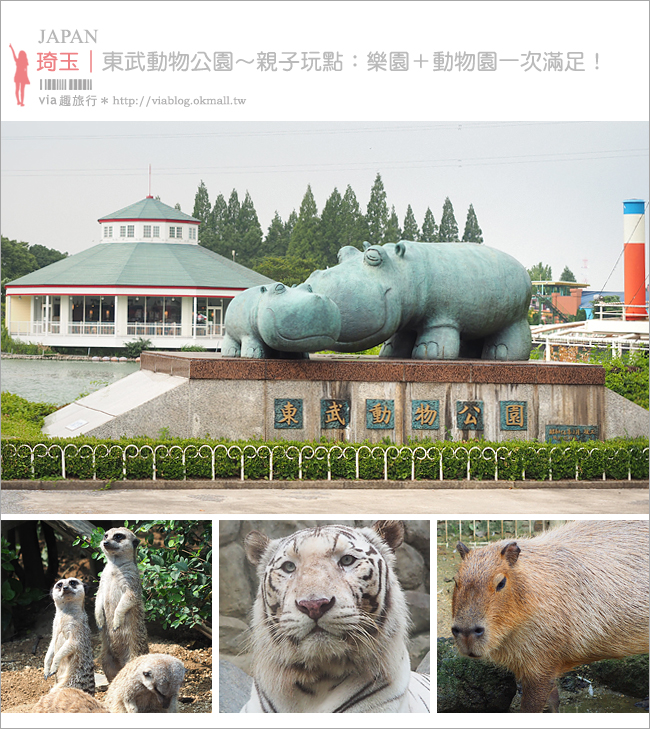 日本旅遊景點》琦玉‧東武動物公園～適合親子出遊的東京近郊玩點！樂園＋動物園一次滿足！