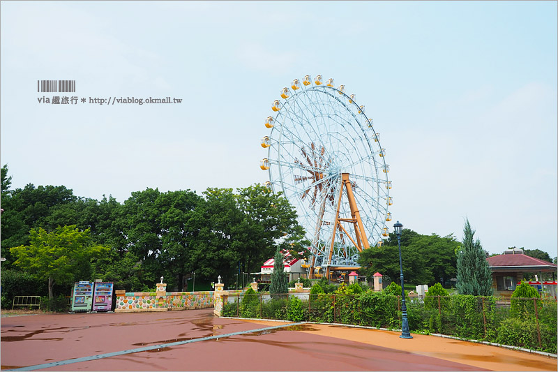 日本旅遊景點》琦玉‧東武動物公園～適合親子出遊的東京近郊玩點！樂園＋動物園一次滿足！