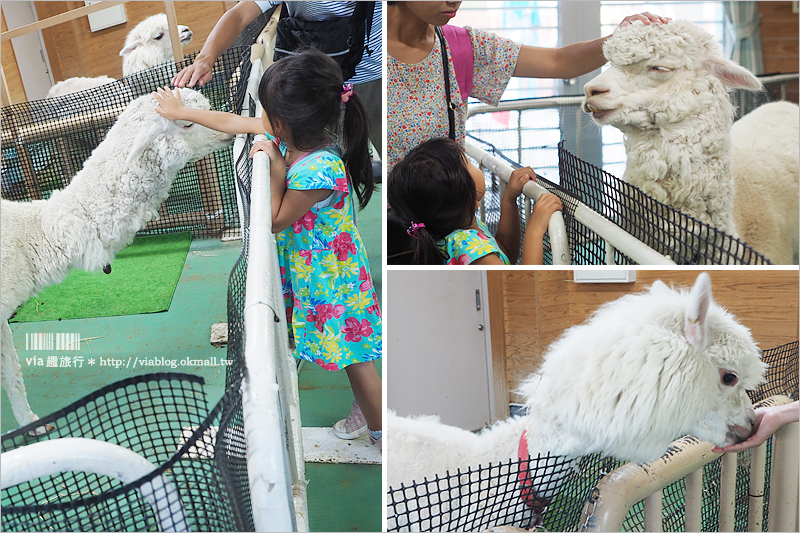 日本旅遊景點》琦玉‧東武動物公園～適合親子出遊的東京近郊玩點！樂園＋動物園一次滿足！