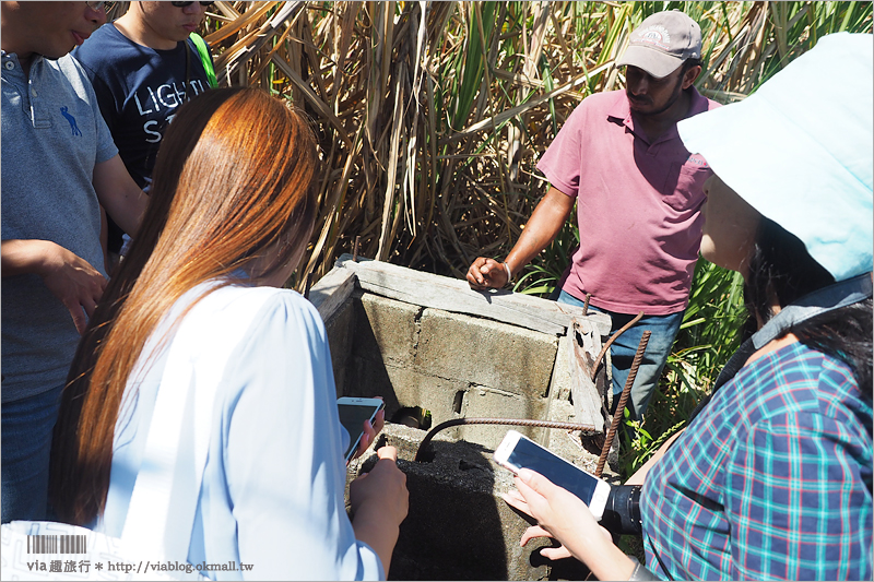 斐濟旅遊》FIJI Water斐濟水～直擊當地工廠實況！走入校園和村落居民生活之中，看見斐濟式的燦爛笑容！