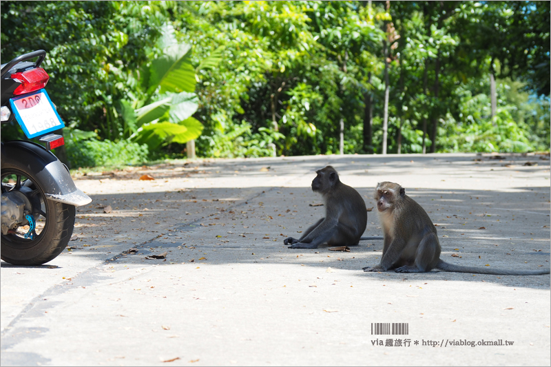 泰國蘭塔島景點》蘭塔國家公園Mu Ko Lanta National Park～我們流浪在傳說中的天涯海角！