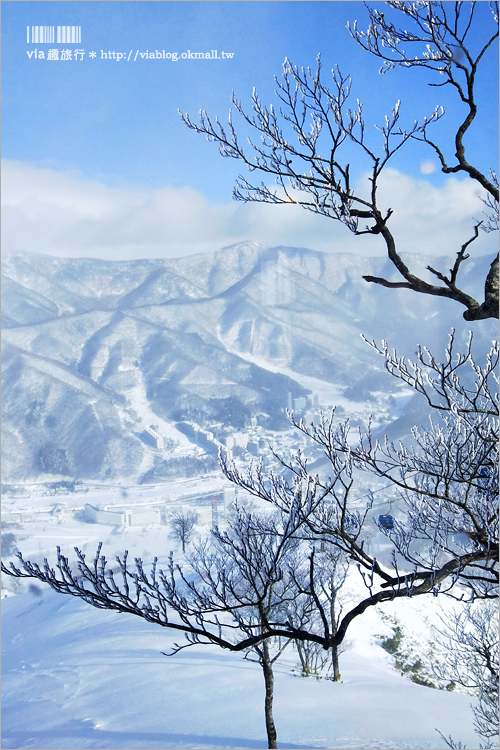 日本滑雪中毒者》苗場滑雪場＋苗場王子飯店～激推薦給初學者的粉雪滑雪場！徹底愛上滑雪啦！