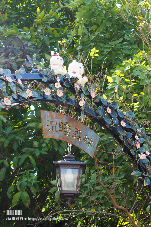 嘉義沉睡森林》好夢幻！繪本風格的新旅點～北門驛站前小公園拍照新亮點！