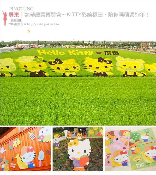 屏東熱帶農業博覽會》Kitty彩繪稻田(已撤展)～萌翻天！春節旅遊就去這～KITTY在屏東等你來玩！