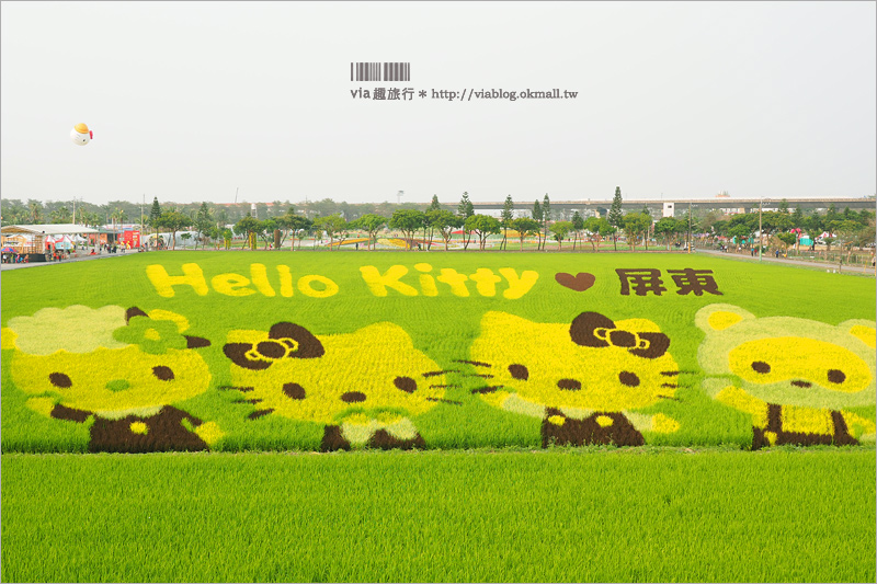 屏東熱帶農業博覽會》Kitty彩繪稻田(已撤展)～萌翻天！春節旅遊就去這～KITTY在屏東等你來玩！