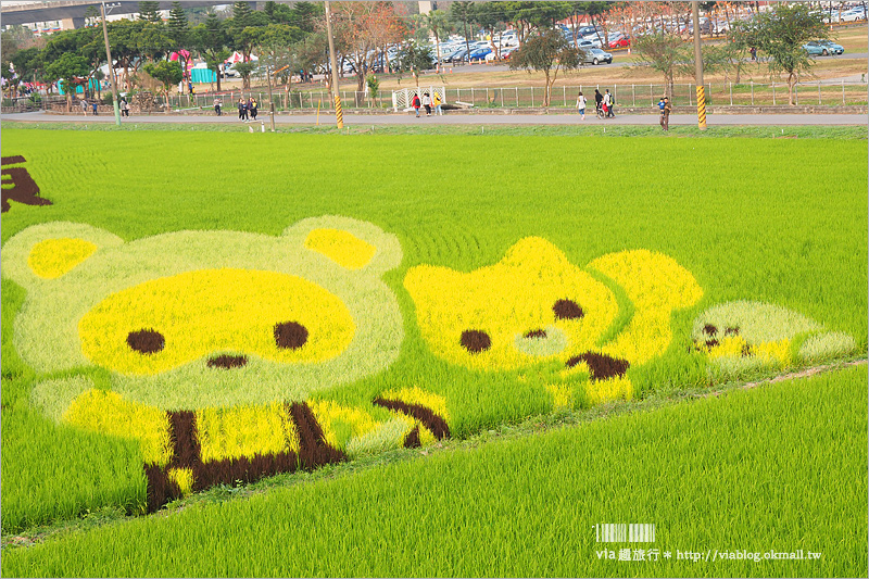 屏東熱帶農業博覽會》Kitty彩繪稻田(已撤展)～萌翻天！春節旅遊就去這～KITTY在屏東等你來玩！