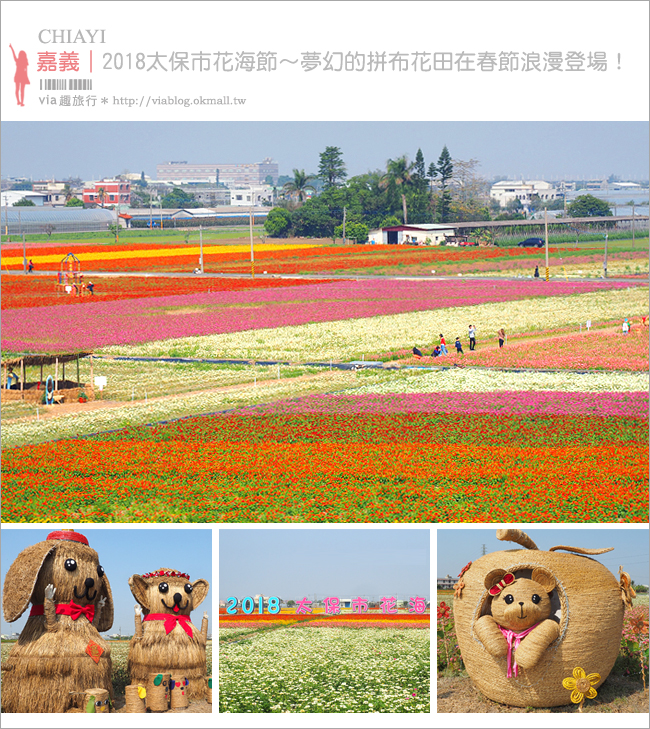 太保花海》嘉義太保花海節～夢幻拼布花田真實登場‧小熊狗狗等裝置藝術俏皮又可愛！