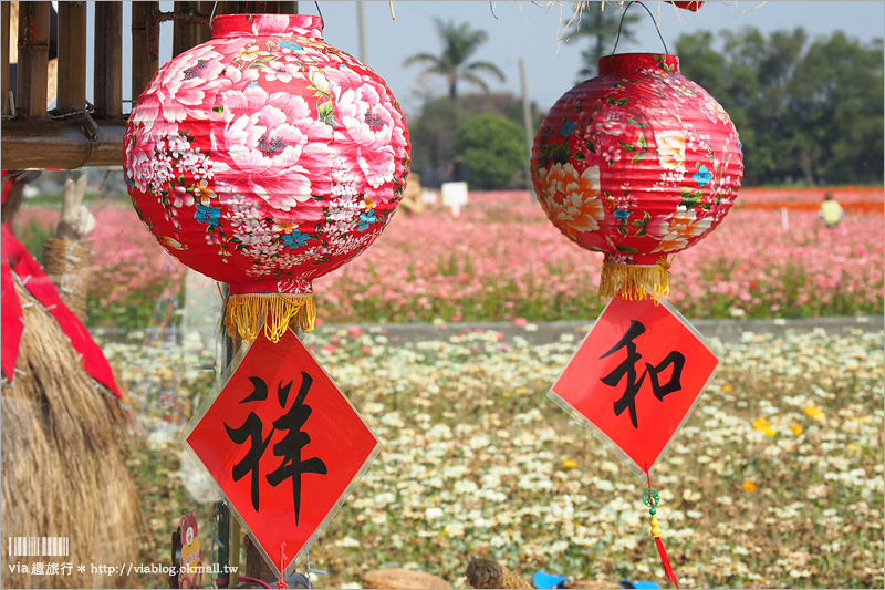 太保花海》嘉義太保花海節～夢幻拼布花田真實登場‧小熊狗狗等裝置藝術俏皮又可愛！