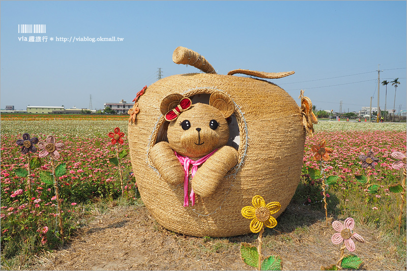 太保花海》嘉義太保花海節～夢幻拼布花田真實登場‧小熊狗狗等裝置藝術俏皮又可愛！