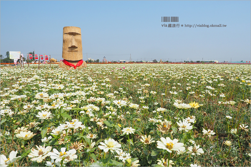 太保花海》嘉義太保花海節～夢幻拼布花田真實登場‧小熊狗狗等裝置藝術俏皮又可愛！